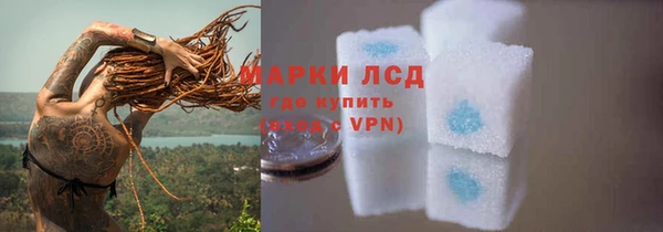 PSILOCYBIN Кодинск