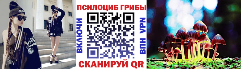 Купить закладки  Белебей  Псилоцибиновые грибы мицелий 